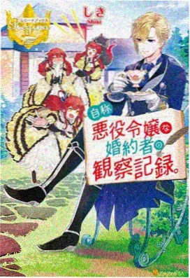 动画番剧更新节律示意图